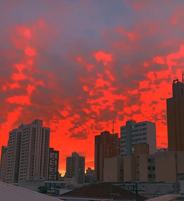 Imagem ilustrativa da imagem CIDADE FALA - O sol é vida