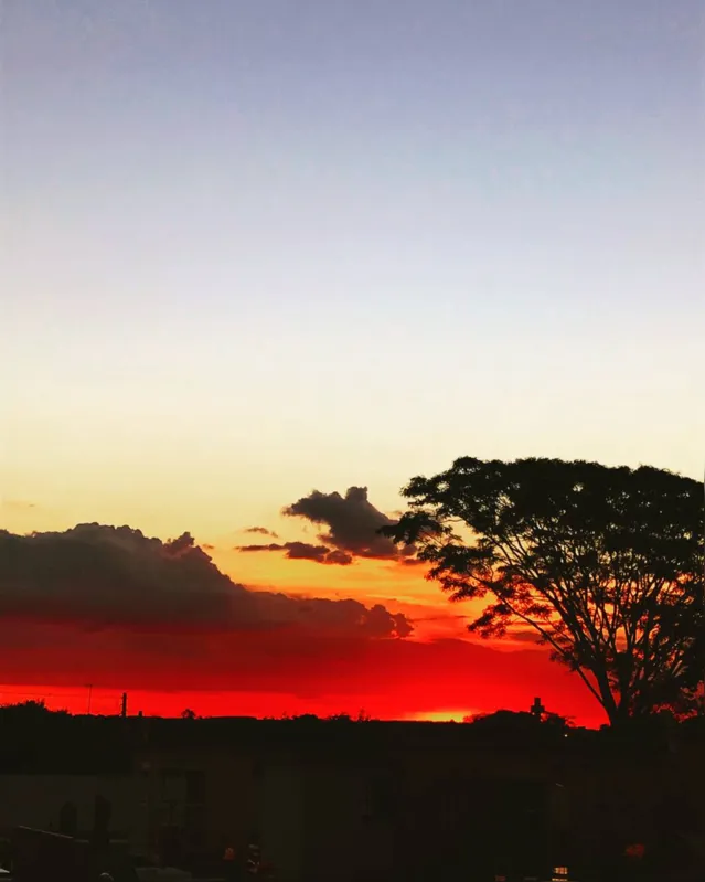 Imagem ilustrativa da imagem CIDADE FALA - O sol nasceu para todos
