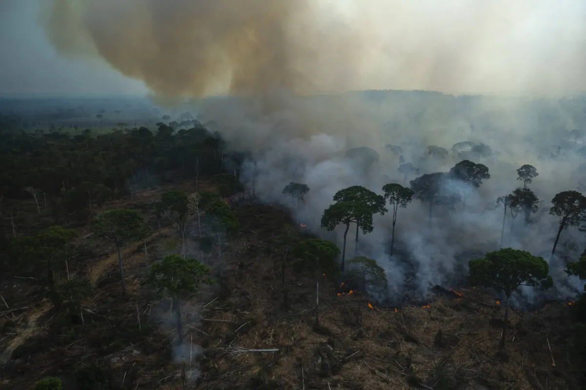 O desmatamento é o principal responsável pelas emissões de gases de efeito estufa no Brasil: mais da metade (55%) vem de corte de árvores e queimadas, um número que vem crescendo nos últimos dois anos