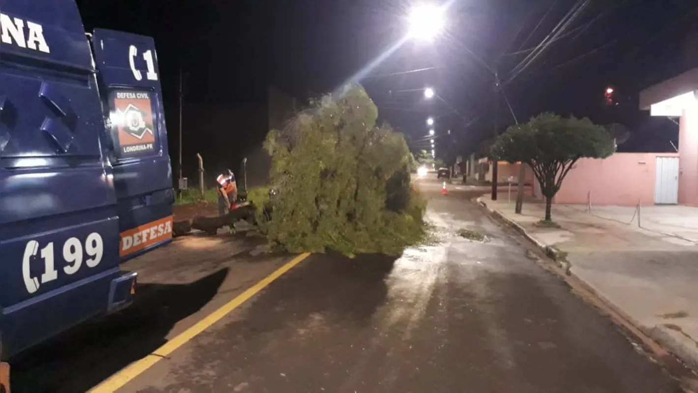 Imagem ilustrativa da imagem Defesa Civil registra mais de 20 ocorrências pela chuva em Londrina