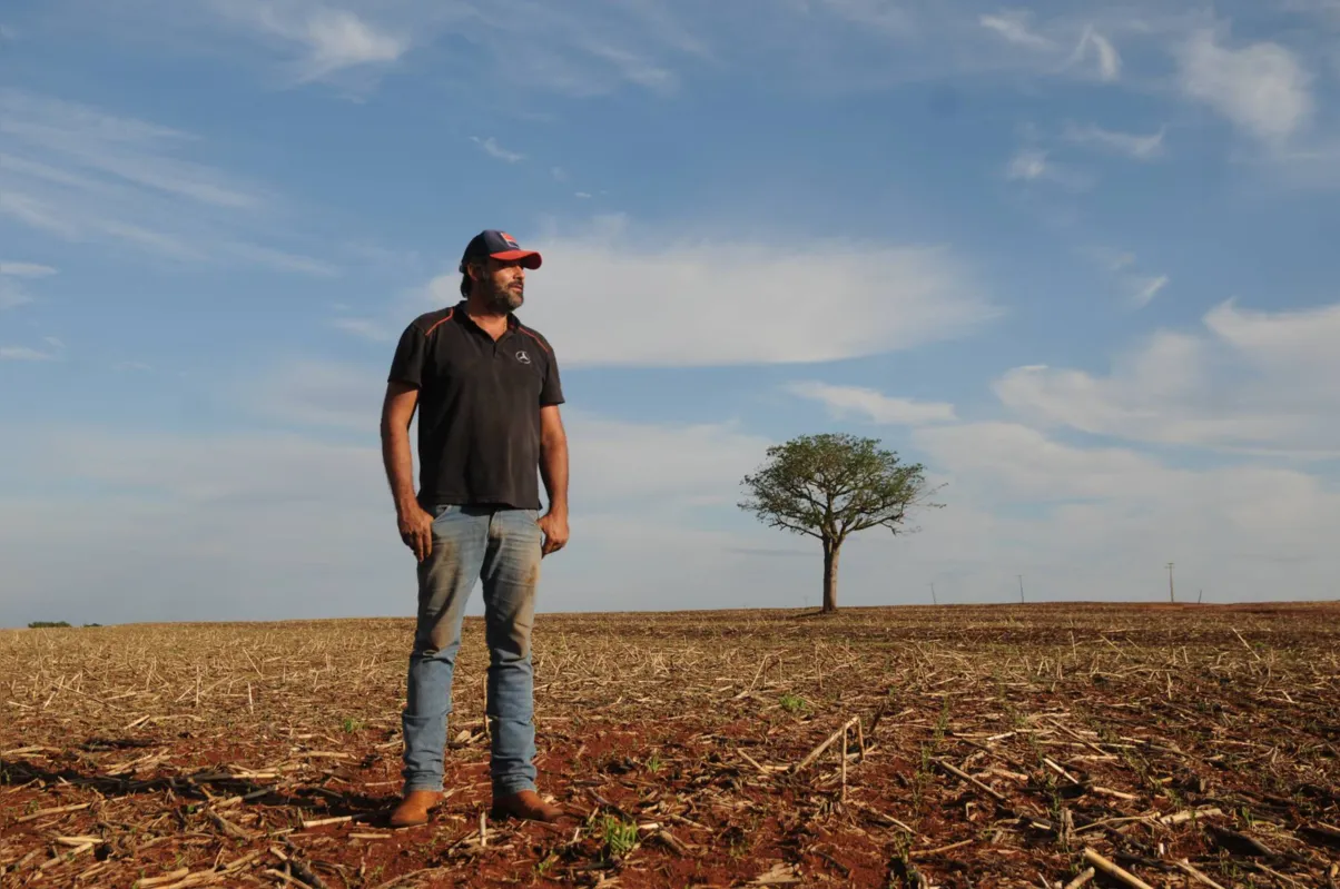 O produtor Fábio Afonso Pinto, de Cambé, comemora a valorização do preço da saca de milho
