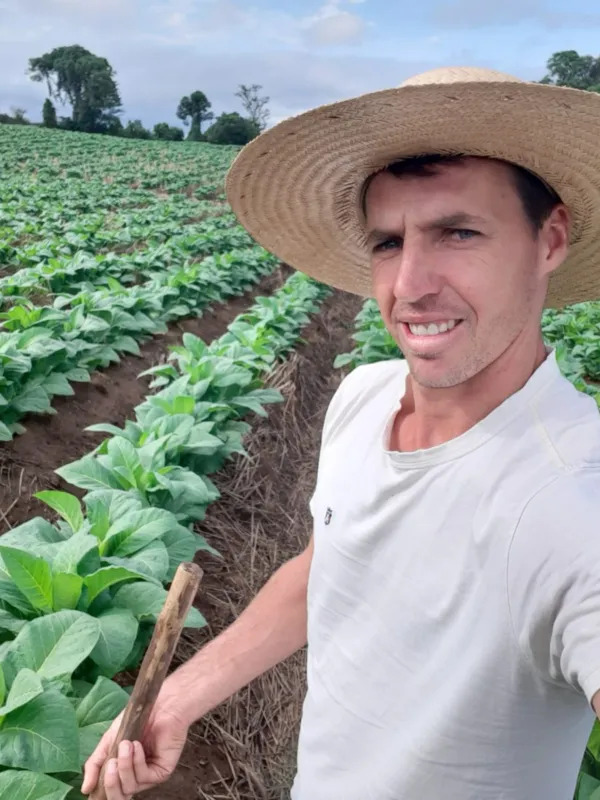 Juliano Maier produziu 27 toneladas de folhas de tabaco em 2020 e pretende ao menos igualar a marca neste ano