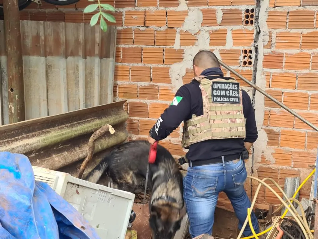 Cães farejadores foram usados nas buscas