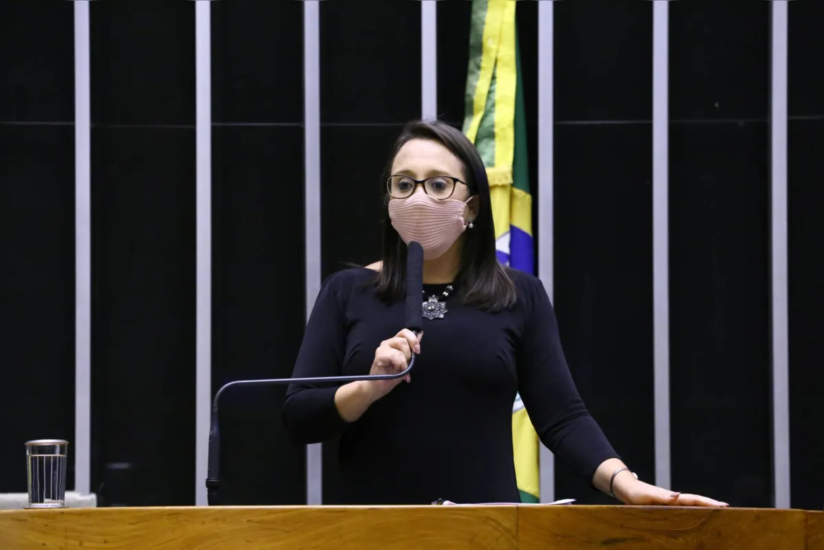 Imagem ilustrativa da imagem Relatora da PEC da Reforma Eleitoral participa de debate em Londrina