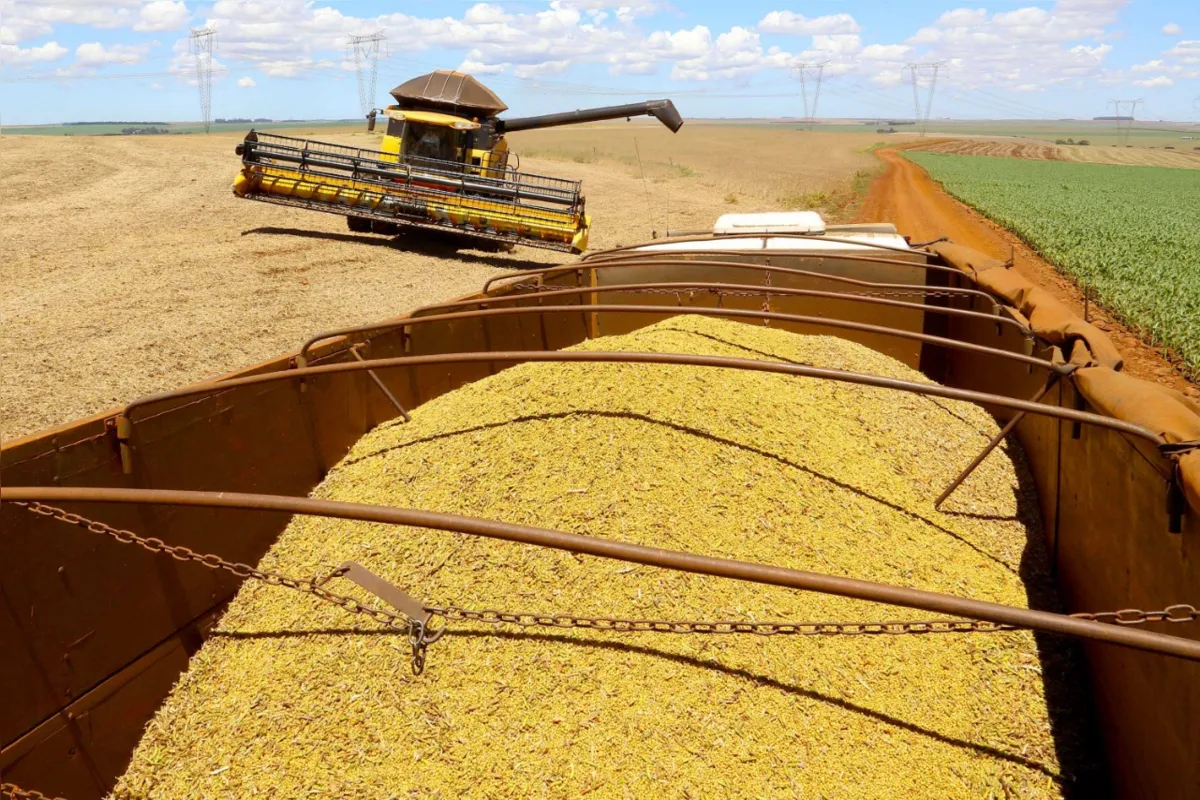 Soja representa quase 37% de todos os produtos exportados pelo território paranaense