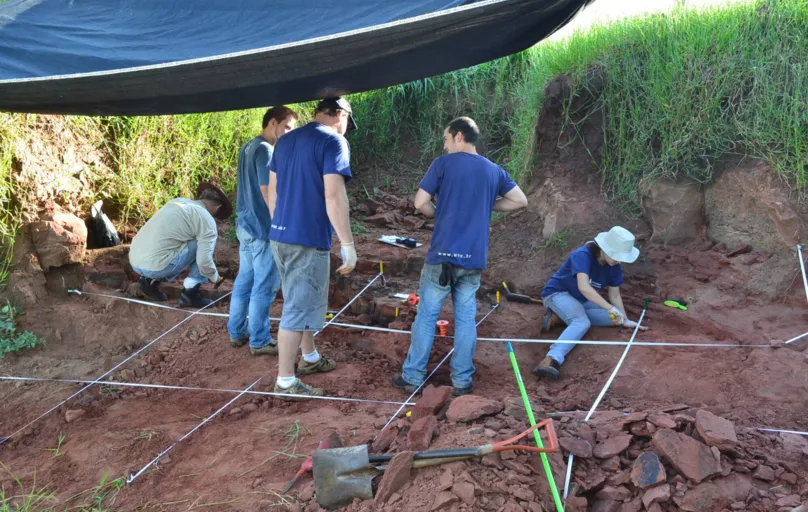 A equipe tirou a sorte grande ao achar um esqueleto tão completo, já que a maioria das espécies brasileiras de terópodes é conhecida apenas por meio de ossos esparsos