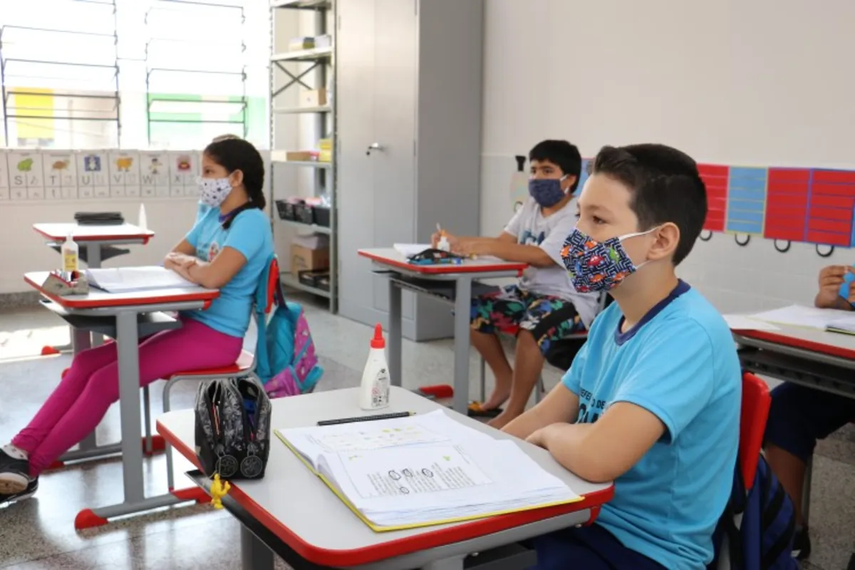Imagem ilustrativa da imagem Alunos da rede municipal vão aprender sobre direitos dos animais no ano que vem