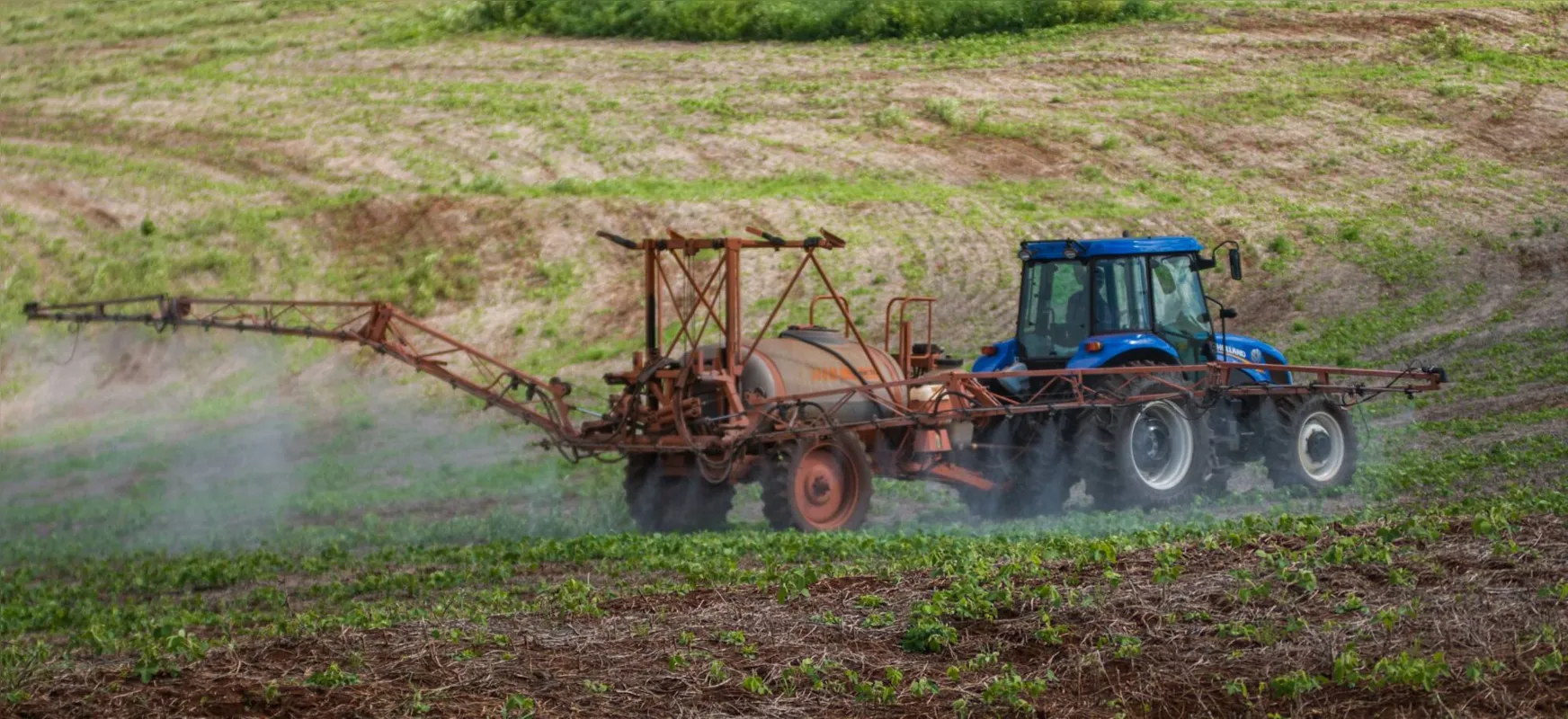 O alto custo de produção está muito influenciado pelo preço dos fertilizantes, elevadíssimo por conta do dólar 