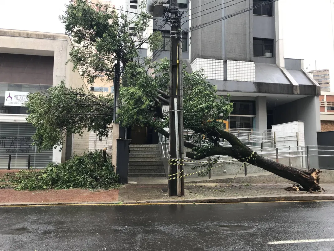 Imagem ilustrativa da imagem Após a chuva, comerciantes em Londrina correm para consertar estragos