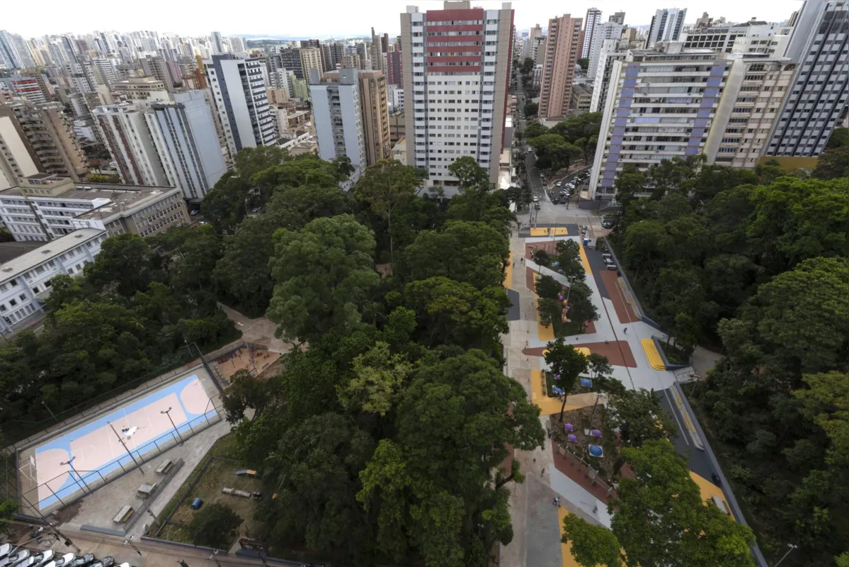 Imagem ilustrativa da imagem Bosque Central deve ser reinaugurado na próxima semana