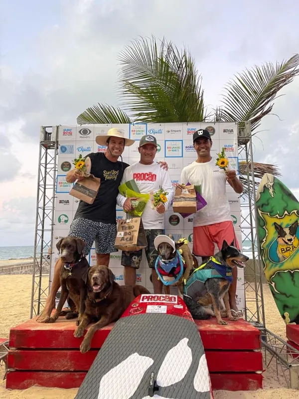 Imagem ilustrativa da imagem Cães surfistas Parafina, Maya e Bono conquistam pódio em Natal