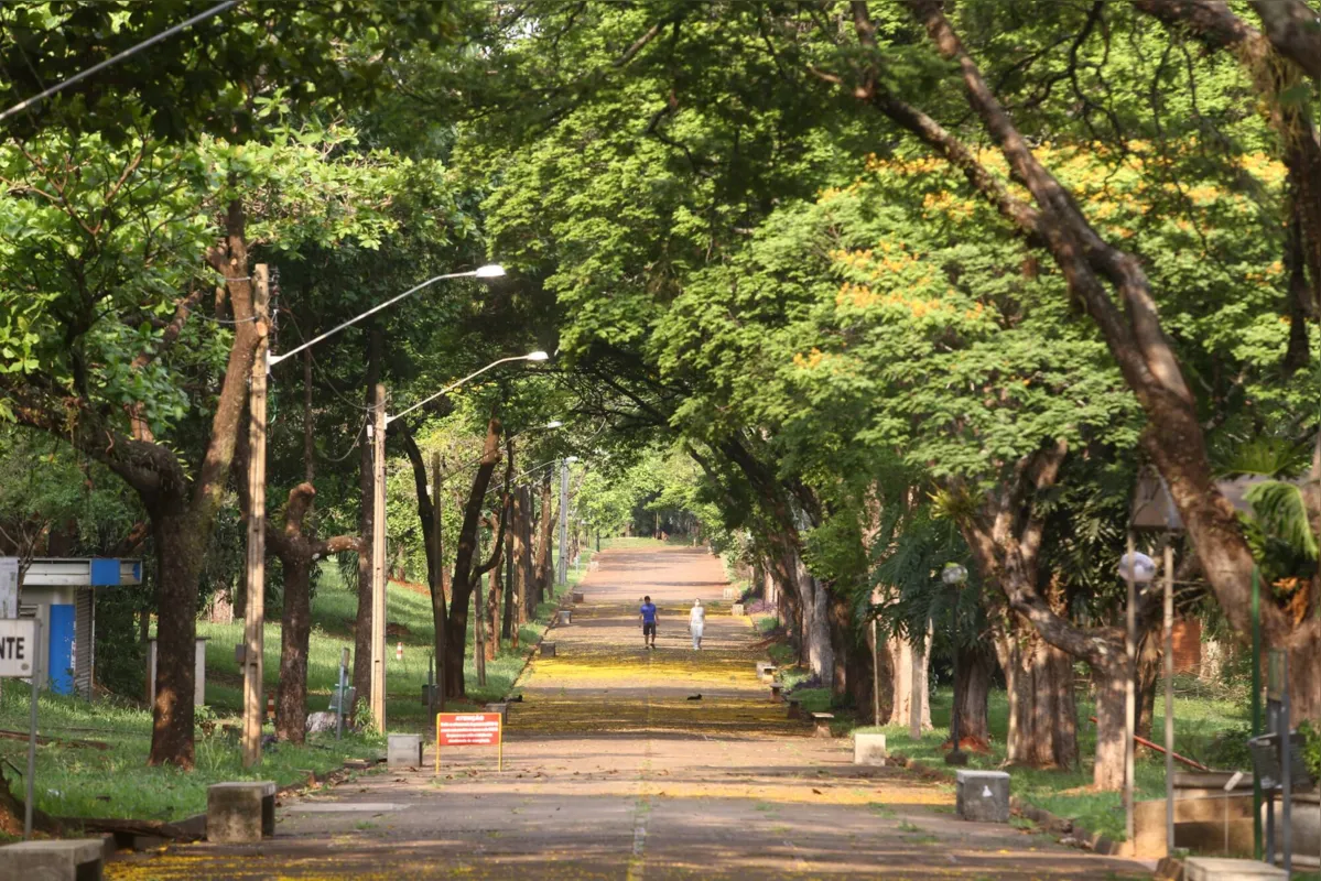 Imagem ilustrativa da imagem Com emendas, projeto da Lei Geral da Universidades volta para a CCJ