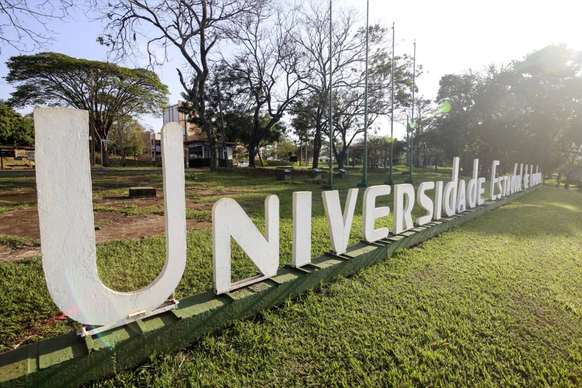 Imagem ilustrativa da imagem EDITORIAL - FOLHA traz conteúdo para ajudar na preparação para o vestibular da UEL