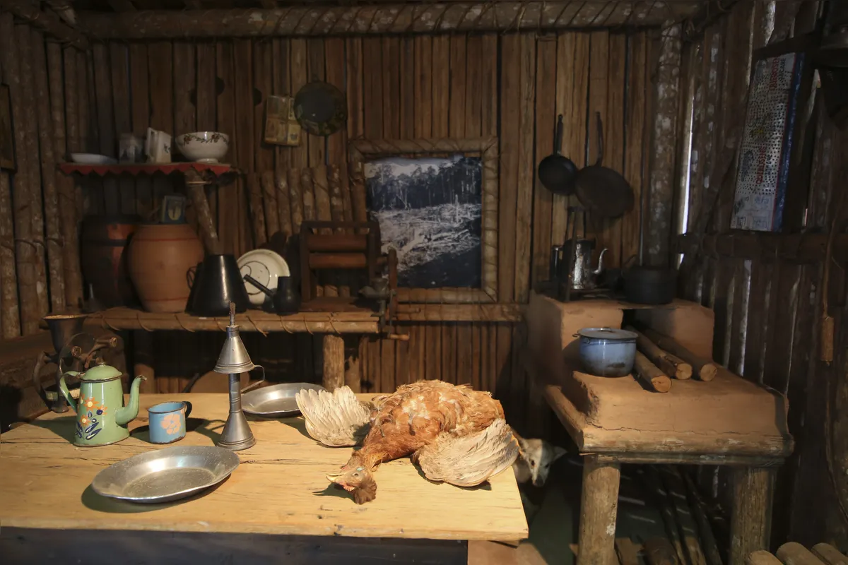 museu historico de londrina comemora 50 anos de existencia . foto: roberto custodio - folha de londrina - 16-09-2020