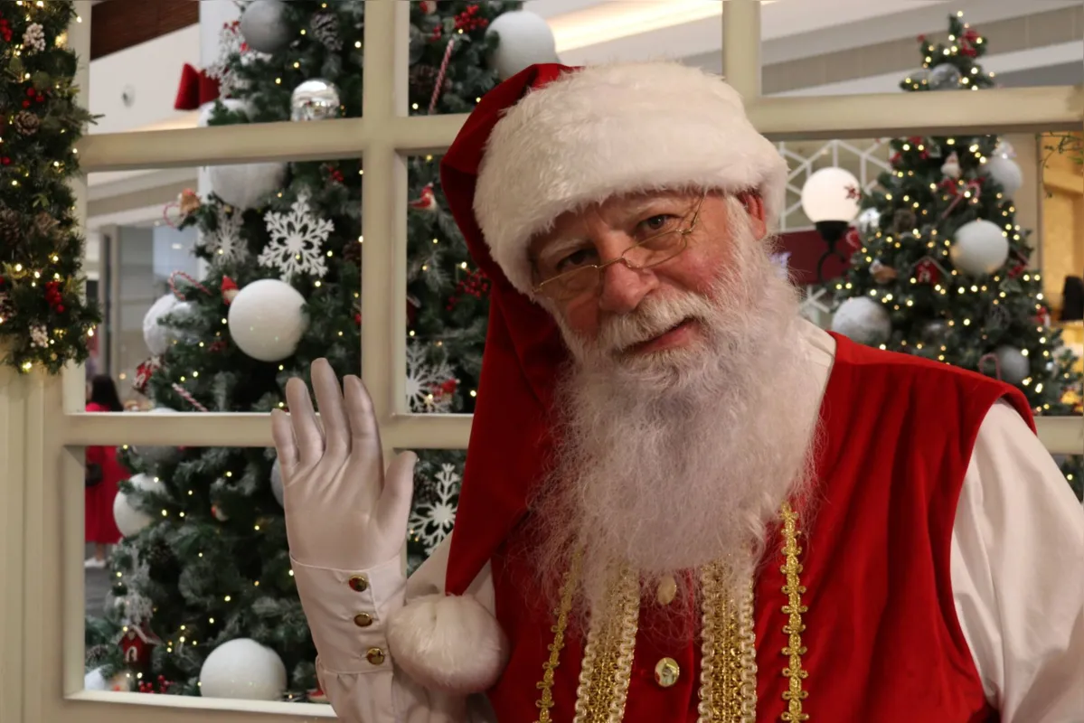 Imagem ilustrativa da imagem Os verdadeiros contos de Natal