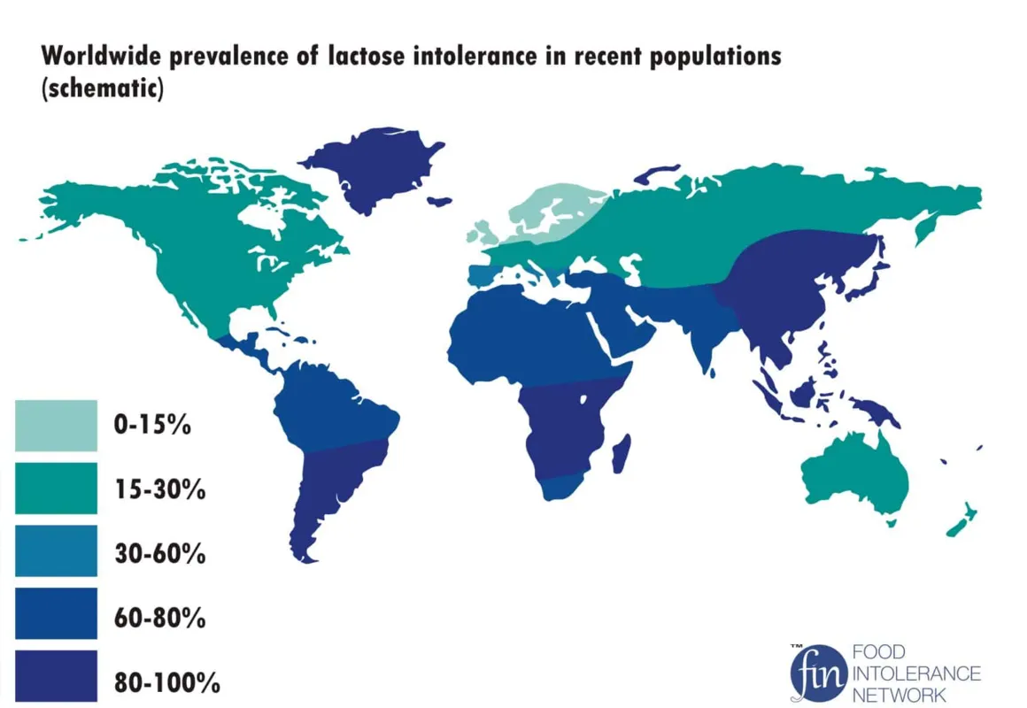 Imagem ilustrativa da imagem População negra é mais intolerante à lactose por causa de variantes genéticas