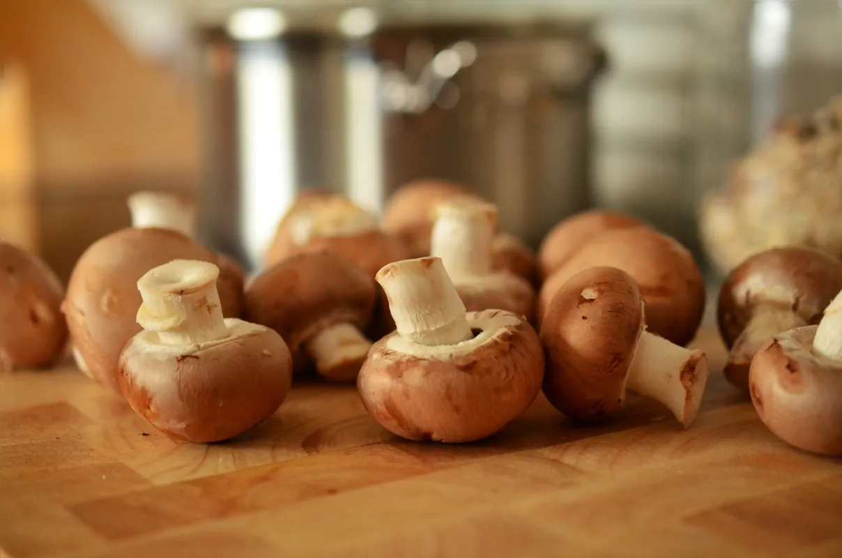 Com muitas variedades, os cogumelos são deliciosos em várias receitas