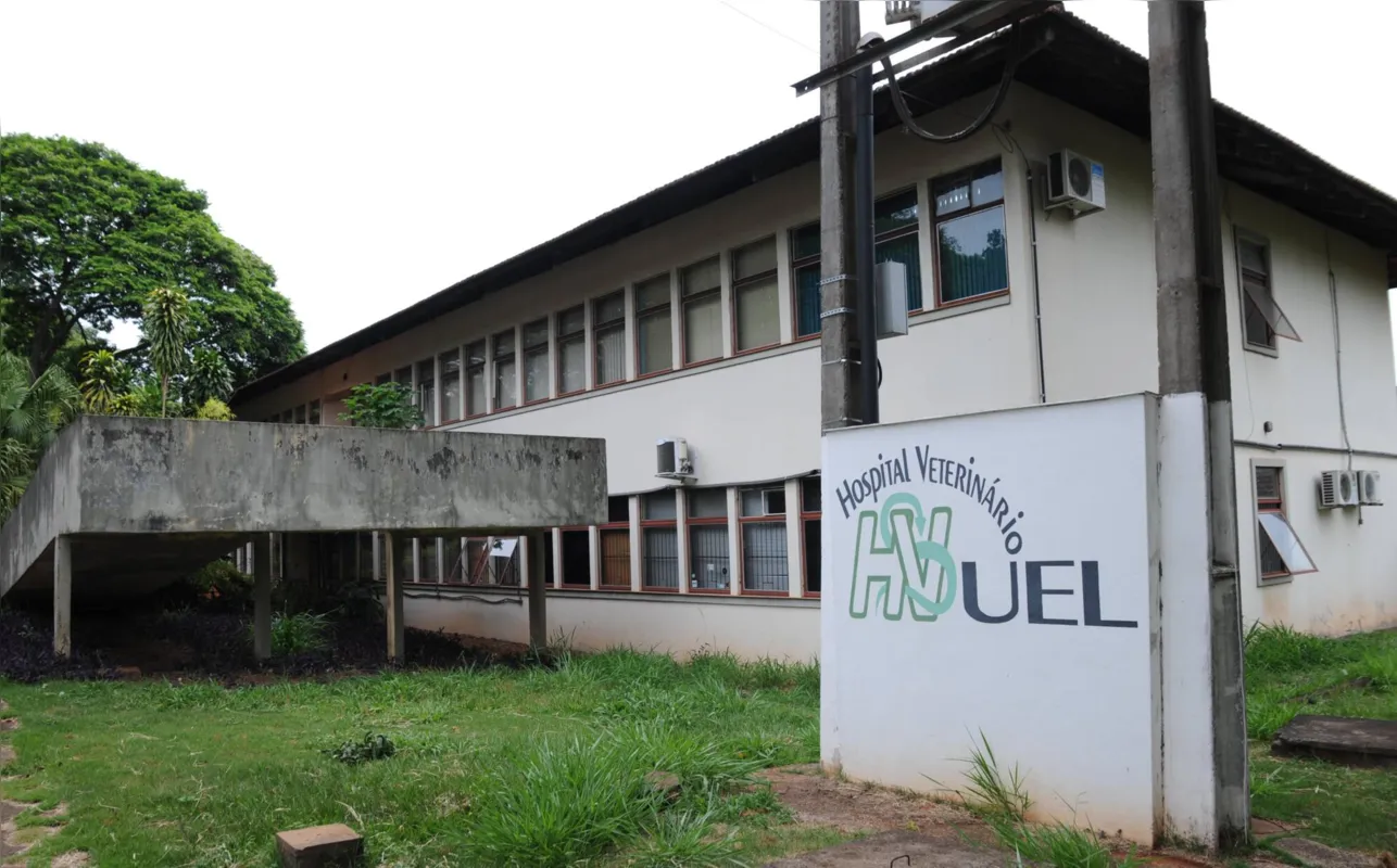 Hospital Veterinário da UEL: dificuldade para recontratação de servidores