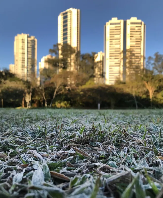 1 de Julho