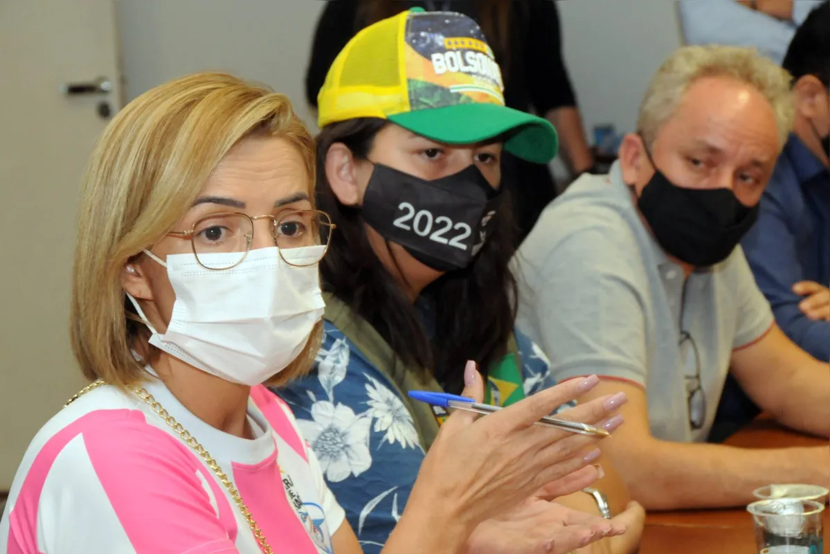 Imagem ilustrativa da imagem Vereadoras criticam modelo de subsídio colocado às pressas na Câmara