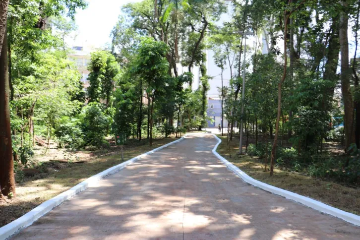 Imagem ilustrativa da imagem Bosque Central de Londrina é reinaugurado neste sábado
