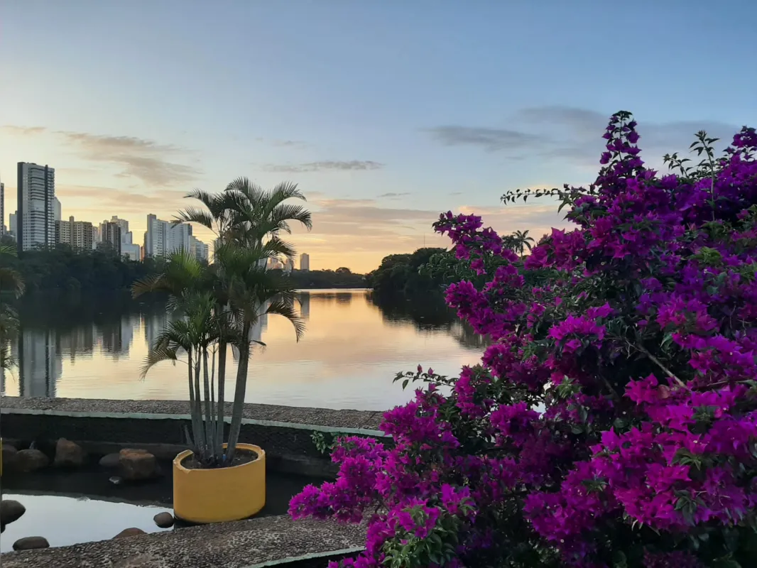 Imagem ilustrativa da imagem #A CIDADE FALA - Beleza