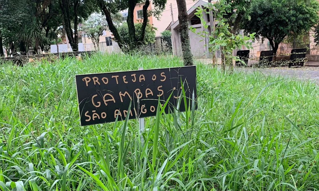 Imagem ilustrativa da imagem #A CIDADE FALA - Eles são do bem!