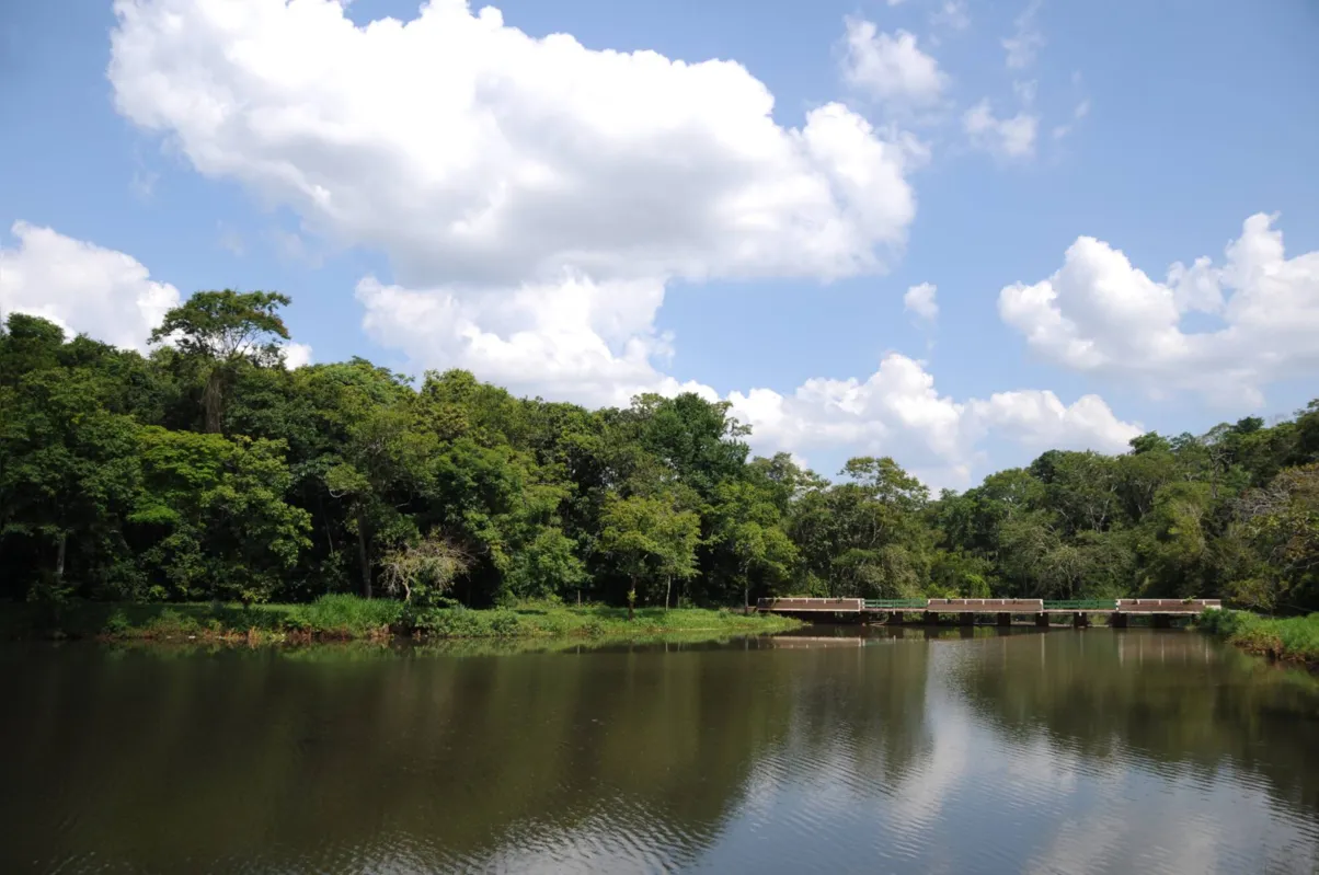 Localizado no Jardim Piza, o Parque Arthur Thomas é o último remanescente florestal de grande porte localizado na área urbana, a 3 km da região central