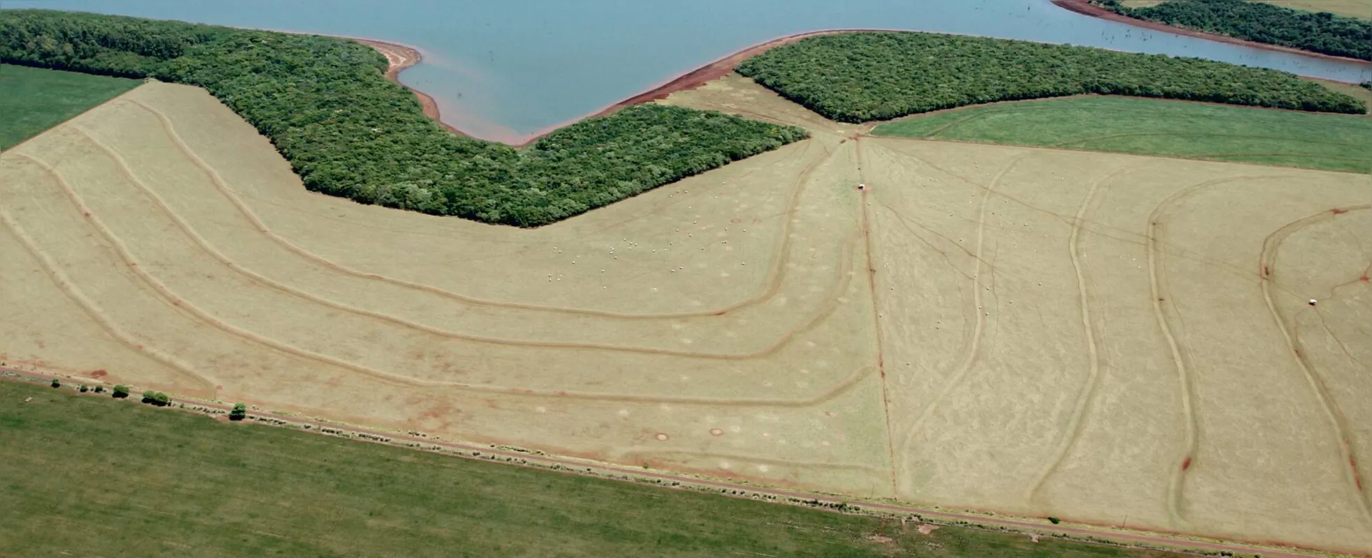 A agricultura paranaense, praticada de modo intensivo, é pioneira no uso dos terraços para o controle da erosão