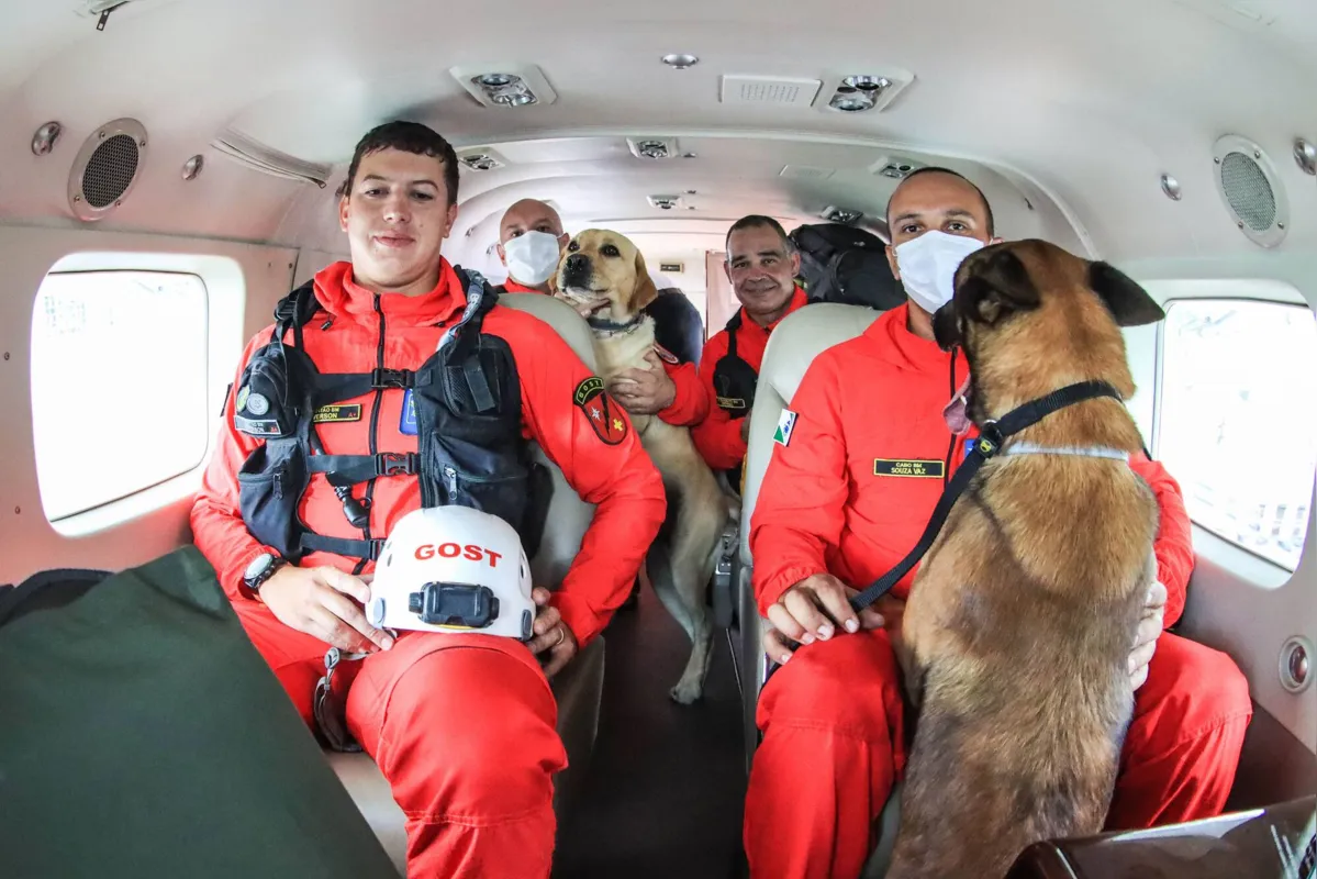 Imagem ilustrativa da imagem Bombeiros do PR auxiliam nos trabalhos em Petrópolis
