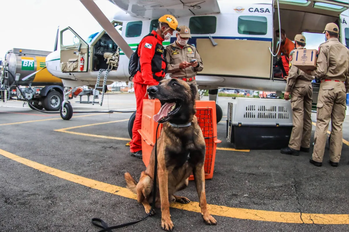 Imagem ilustrativa da imagem Bombeiros do PR auxiliam nos trabalhos em Petrópolis