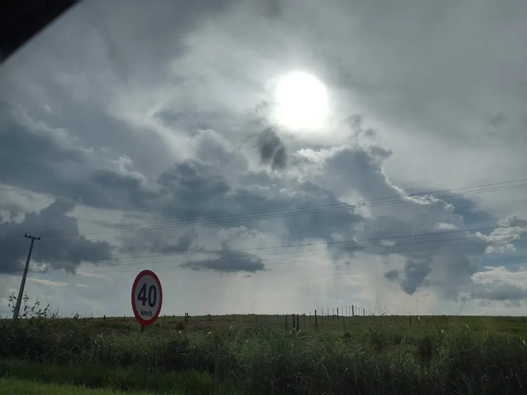 Imagem ilustrativa da imagem CIDADE FALA - Olhando o céu