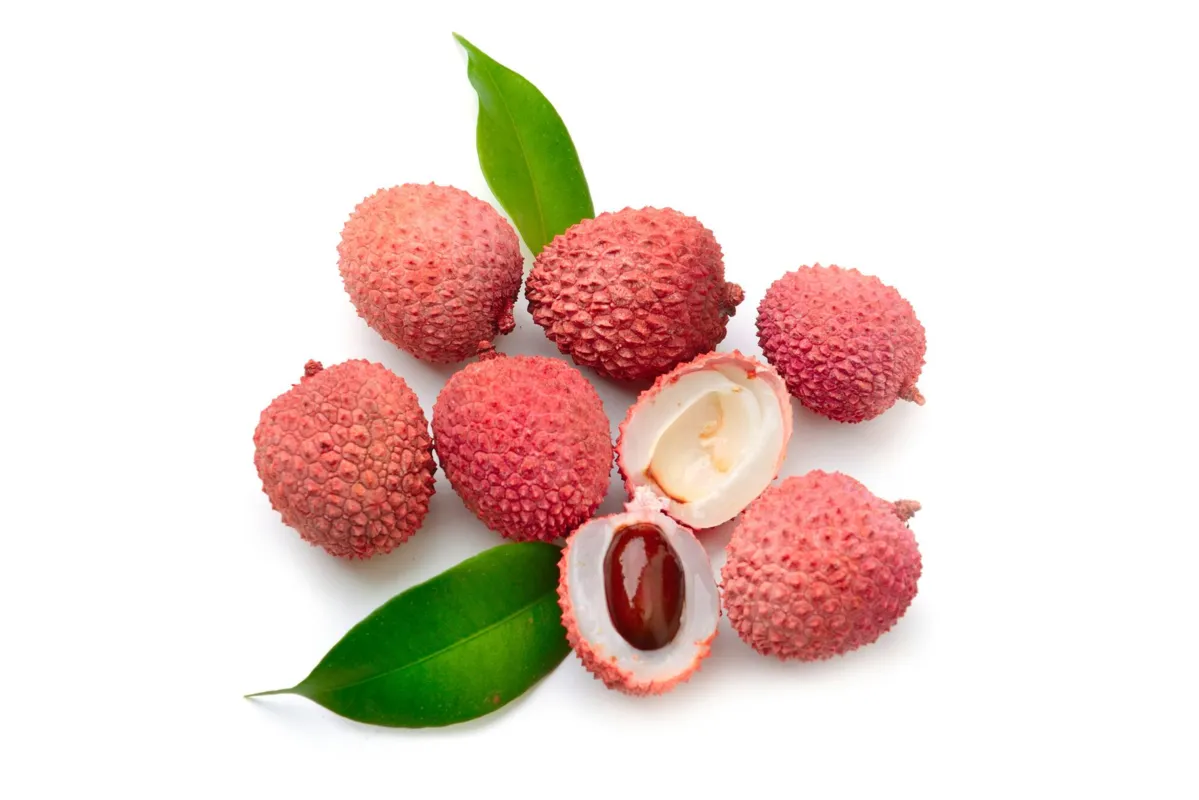 A semente da lichia representa, em média, quase 40% do peso da fruta