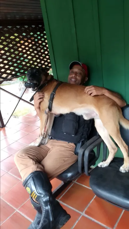 Hórus e seu condutor, o soldado Graciano na Ilha do Mel, na Operação Verão: uma relação de mais de sete anos entre os dois na PMPR.