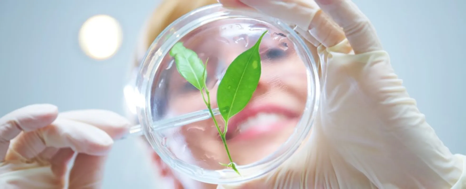 Imagem ilustrativa da imagem De botânica a ecologia, 4 grandes temas de biologia para o vestibular