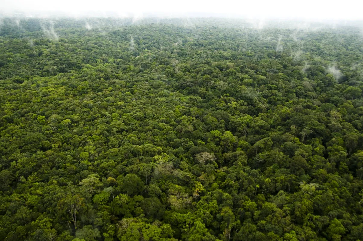 Imagem ilustrativa da imagem ESPAÇO ABERTO - O discurso sem método