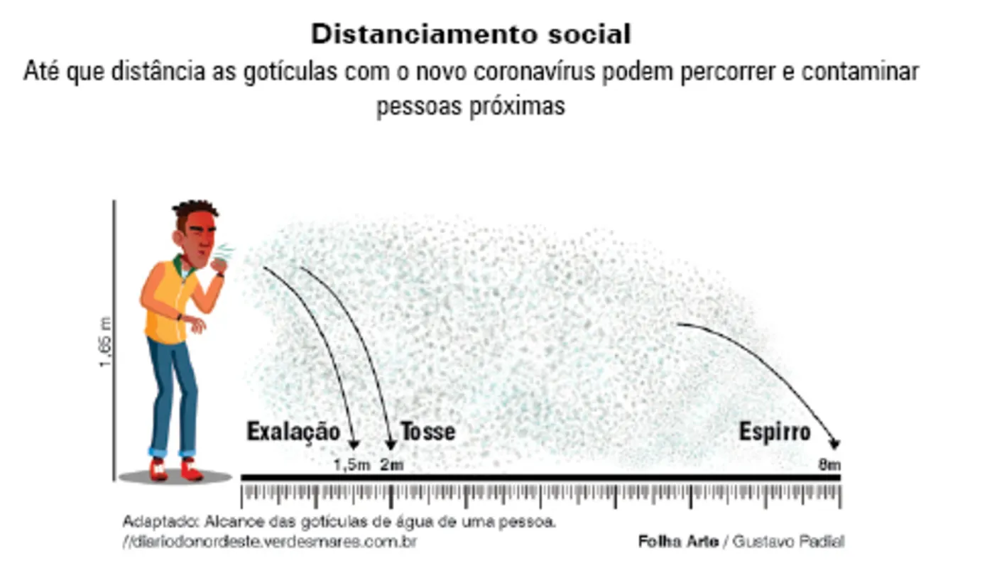 Imagem ilustrativa da imagem FOLHA VEST - CADERNO 5 /NATUREZA