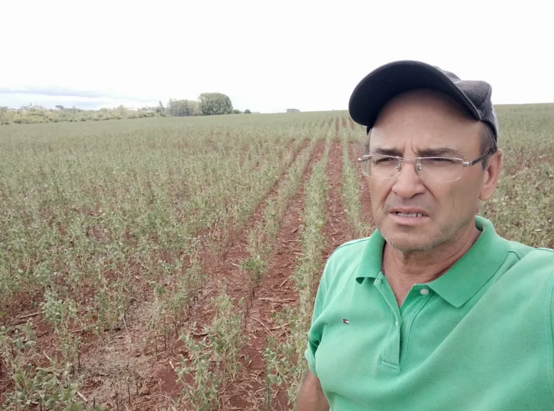 Imagem ilustrativa da imagem Paraná lidera abertura de sinistros de seguro rural