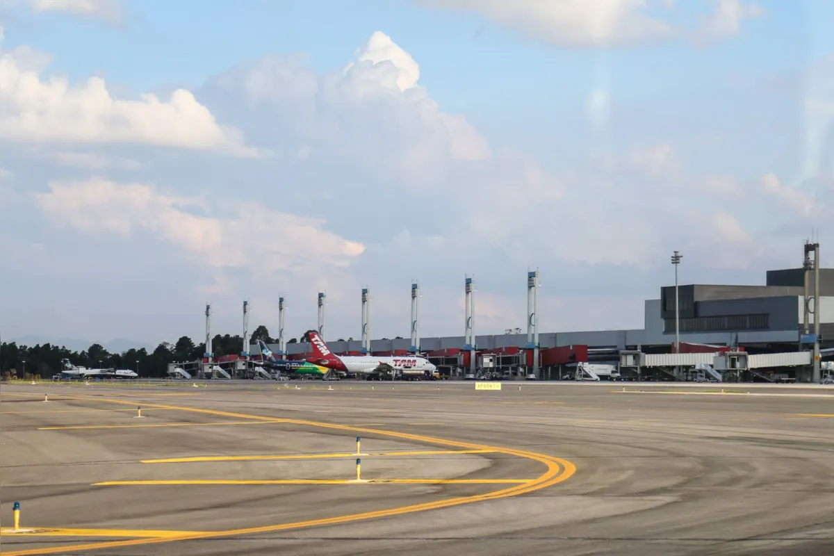 Imagem ilustrativa da imagem Procon  notifica empresas aéreas sobre cancelamento de passagens