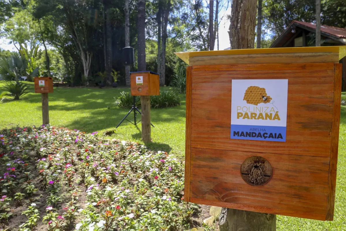 Projeto-piloto no Chapéu Pensador, em Curitiba, servirá de modelo para outras cidades do Estado