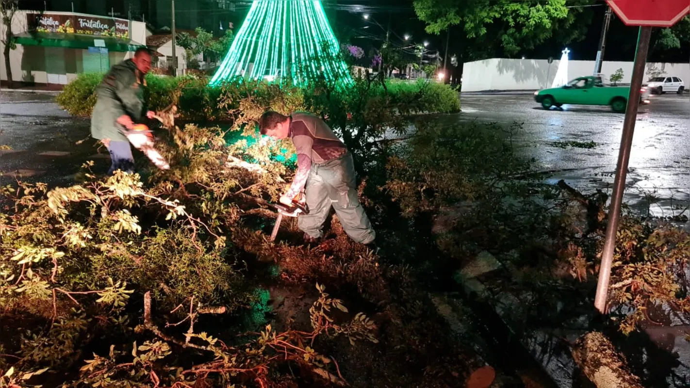 A secretaria de Agricultura e Meio Ambiente de Rolândia informa que foram feitos 14 atendimentos devido ao temporal da noite de sábado (15).