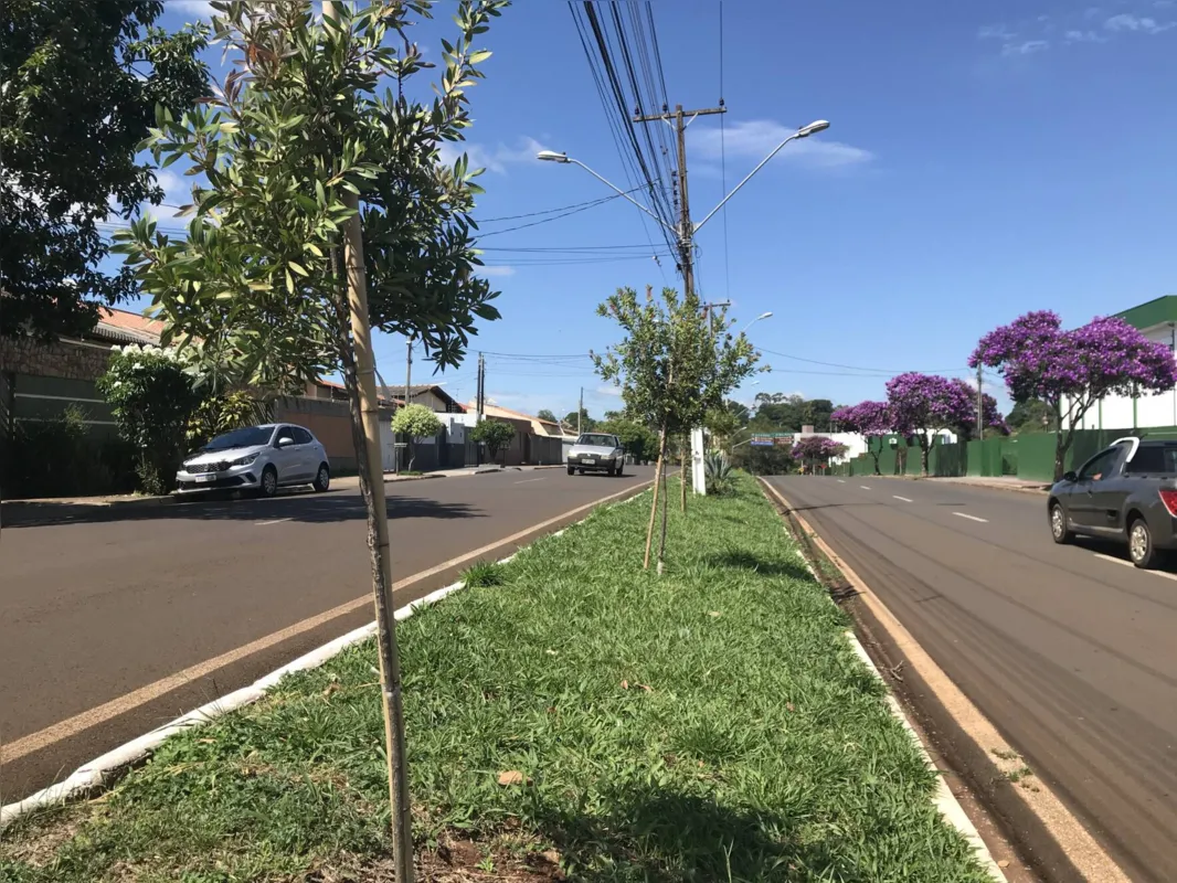Canteiro central da avenida Portugal, na zona sul