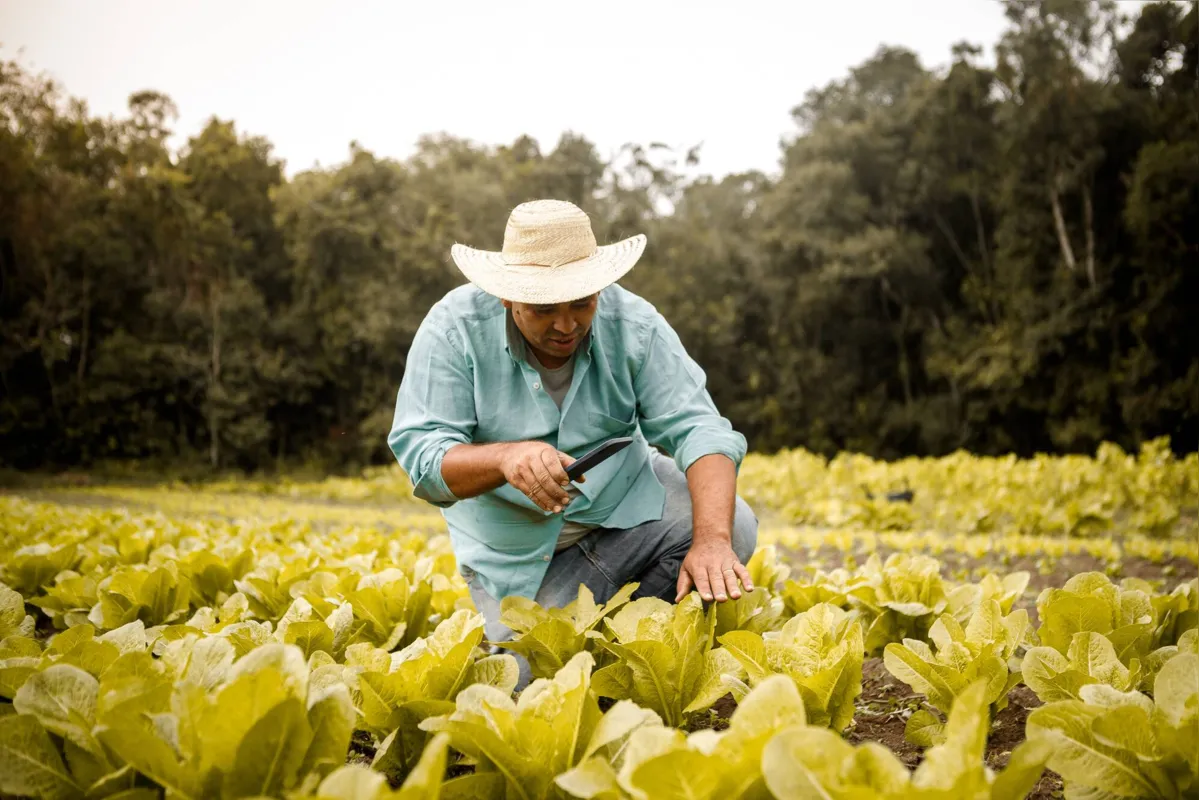 Imagem ilustrativa da imagem Agricultura familiar de sucesso, difícil, mas possível