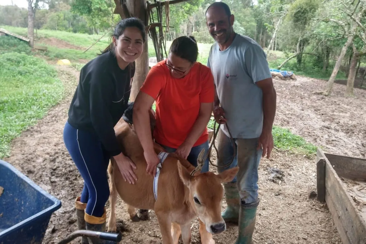 Na propriedade de Maurílio Machado, a dieta balanceada para o gado leiteiro é usada há oito meses