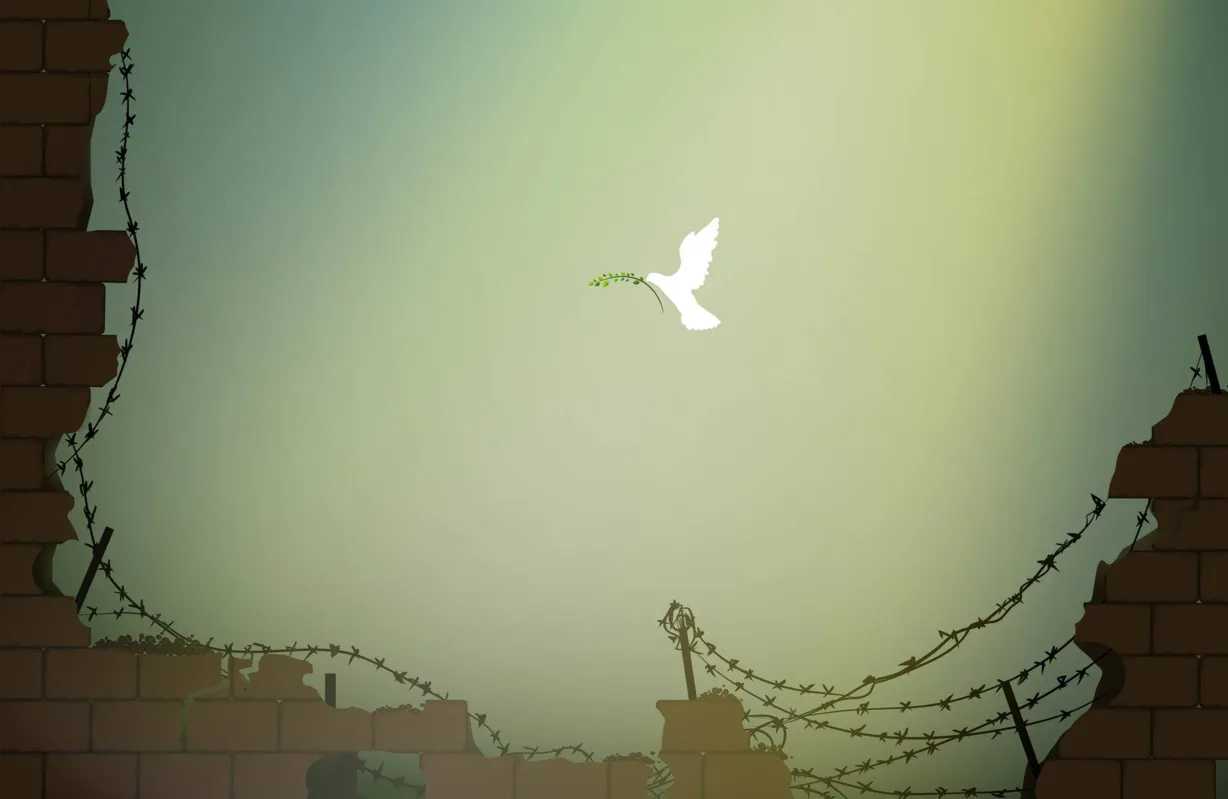 piece come, pigeon with olive branch flying to the destroyed brick wall with barbed wire, symbol of hope, new life after war concept, massage of piece, vector