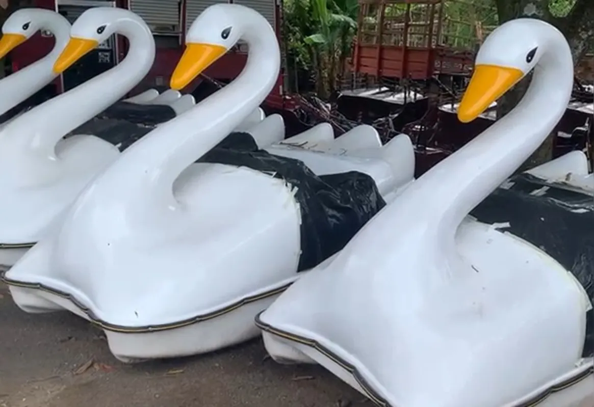 Pedalinhos terão formato de cisne e de caravela