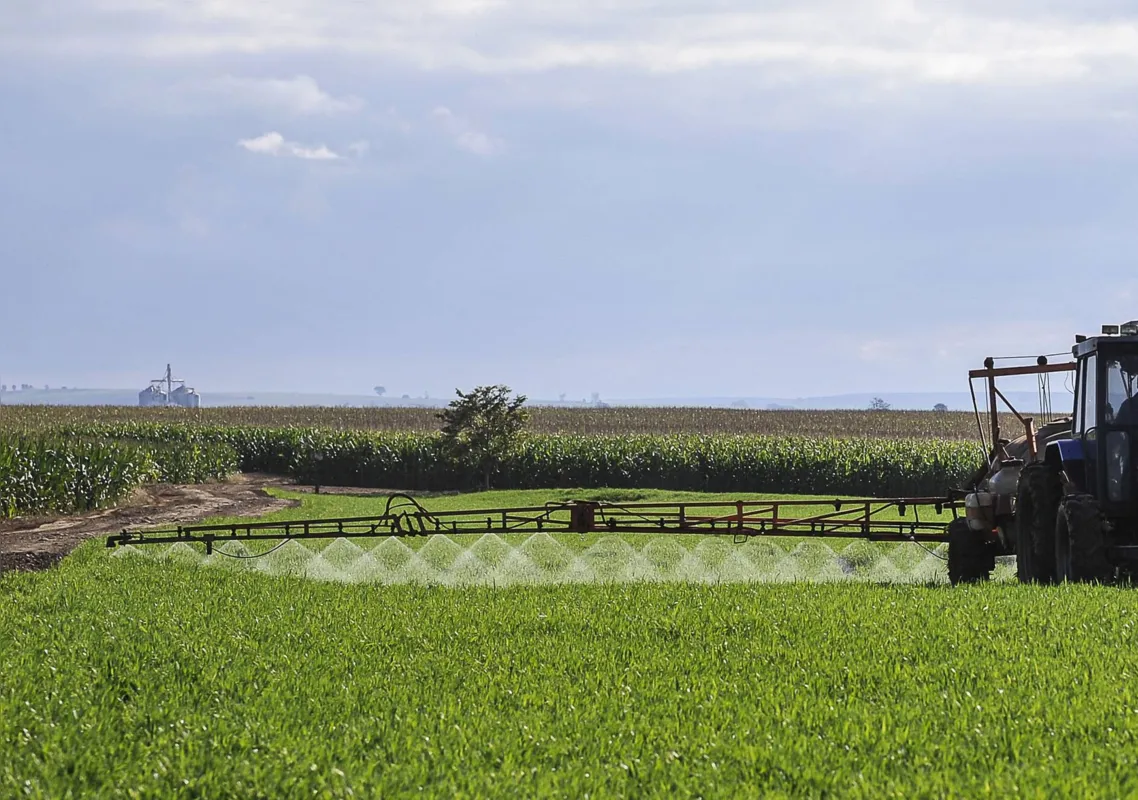 O carbendazin encabeça a lista de sete ingredientes ativos de agrotóxicos que a Anvisa pretende submeter à reavaliação toxicológica