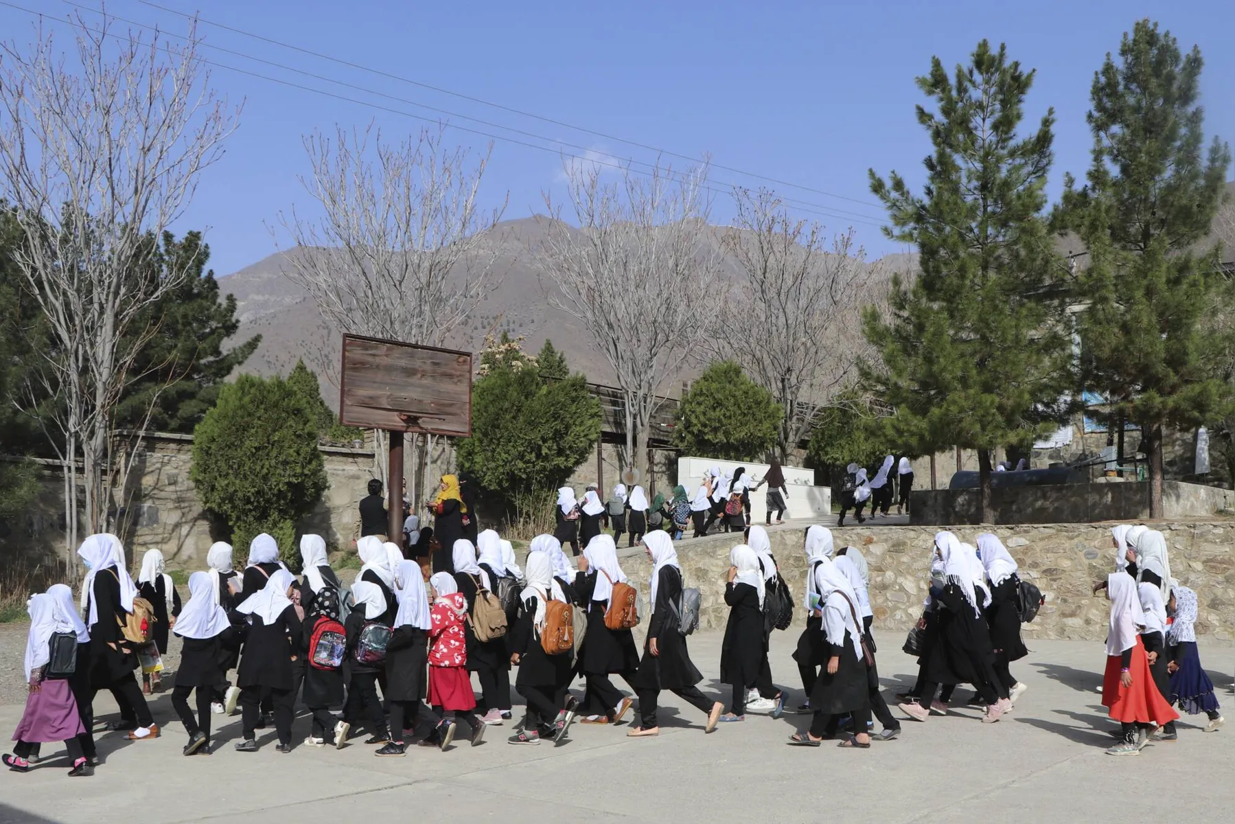 Imagem ilustrativa da imagem 'O que fizemos de errado?', perguntam afegãs proibidas de ir à escola