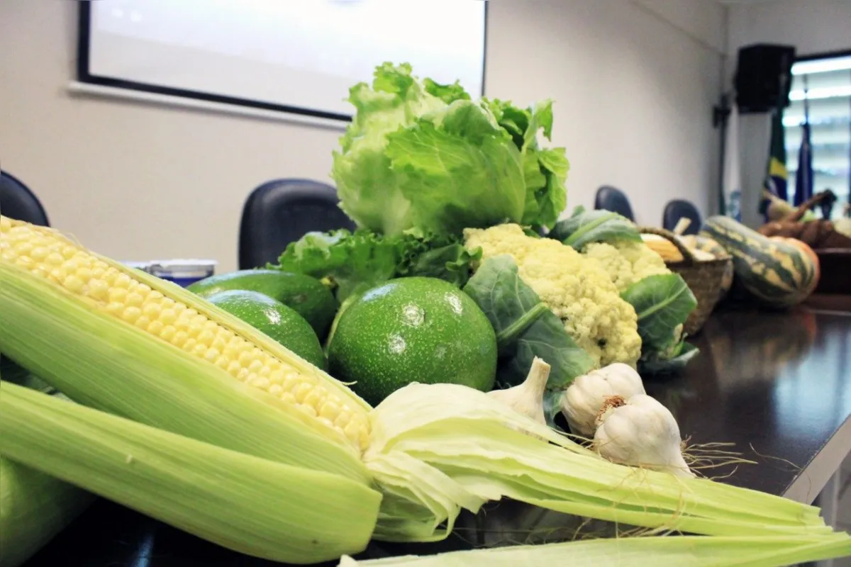 Imagem ilustrativa da imagem Agricultores são capacitados para produção de orgânicos em Arapongas