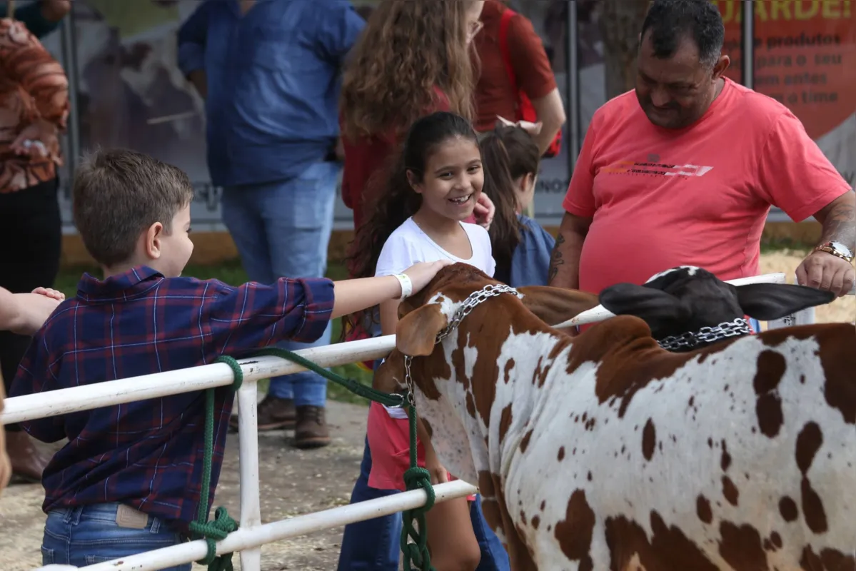 Os animais expostos no parque são uma atração irresistível para as crianças